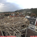 19_10-nest.jpg