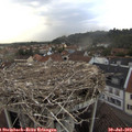 19_15-nest.jpg