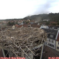 19_20-nest.jpg