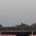 19_25-mast.jpg