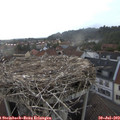 19_25-nest.jpg