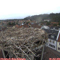 19_30-nest.jpg