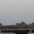 19_35-mast.jpg
