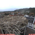 19_35-nest.jpg