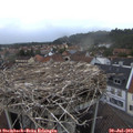 19_40-nest.jpg