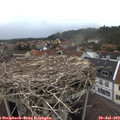 19_45-nest.jpg