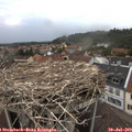 19_50-nest.jpg