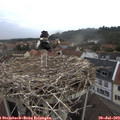 20_15-nest.jpg