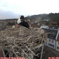 20_20-nest.jpg
