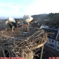 06_40-nest.jpg