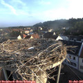 07_10-nest.jpg