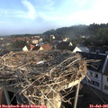 07_15-nest.jpg