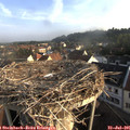 07_20-nest.jpg