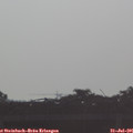 07_25-mast.jpg