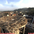 07_25-nest.jpg