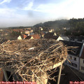 07_30-nest.jpg