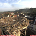 07_35-nest.jpg