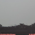 07_40-mast.jpg