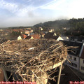 07_40-nest.jpg