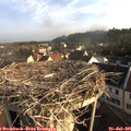 07_45-nest.jpg
