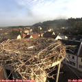 07_50-nest.jpg