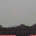 07_55-mast.jpg