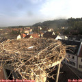 07_55-nest.jpg