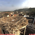 08_00-nest.jpg