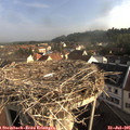 08_05-nest.jpg