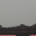 08_10-mast.jpg