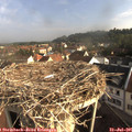 08_10-nest.jpg