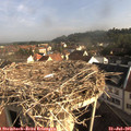08_15-nest.jpg