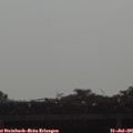 08_20-mast.jpg