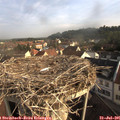 08_20-nest.jpg