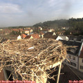 08_30-nest.jpg