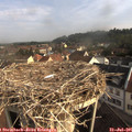 08_35-nest.jpg