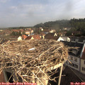 08_40-nest.jpg