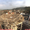 08_45-nest.jpg