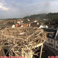 08_50-nest.jpg