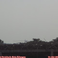 08_55-mast.jpg