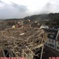 09_00-nest.jpg