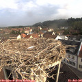 09_05-nest.jpg
