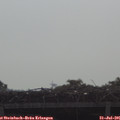 09_10-mast.jpg