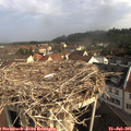 09_10-nest.jpg