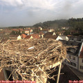 09_15-nest.jpg