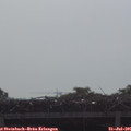 09_25-mast.jpg
