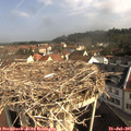 09_25-nest.jpg