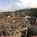 09_30-nest.jpg