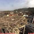09_35-nest.jpg