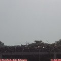 09_40-mast.jpg